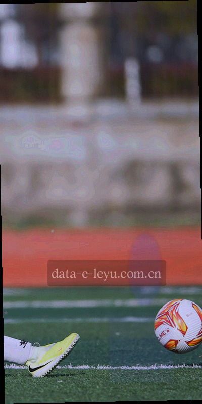 乐鱼体育个人中心界面，第二栏突出案例合集收藏查询